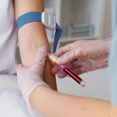 Comprehensive Bloodwork
